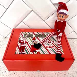 665BDFFA-C041-4E72-9B1D-9DDE0512BB88-300x300 (2)